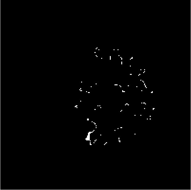 Figure 24